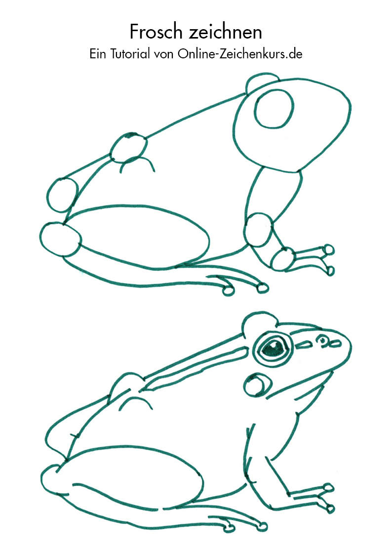 Как легко нарисовать лягушку ребенку